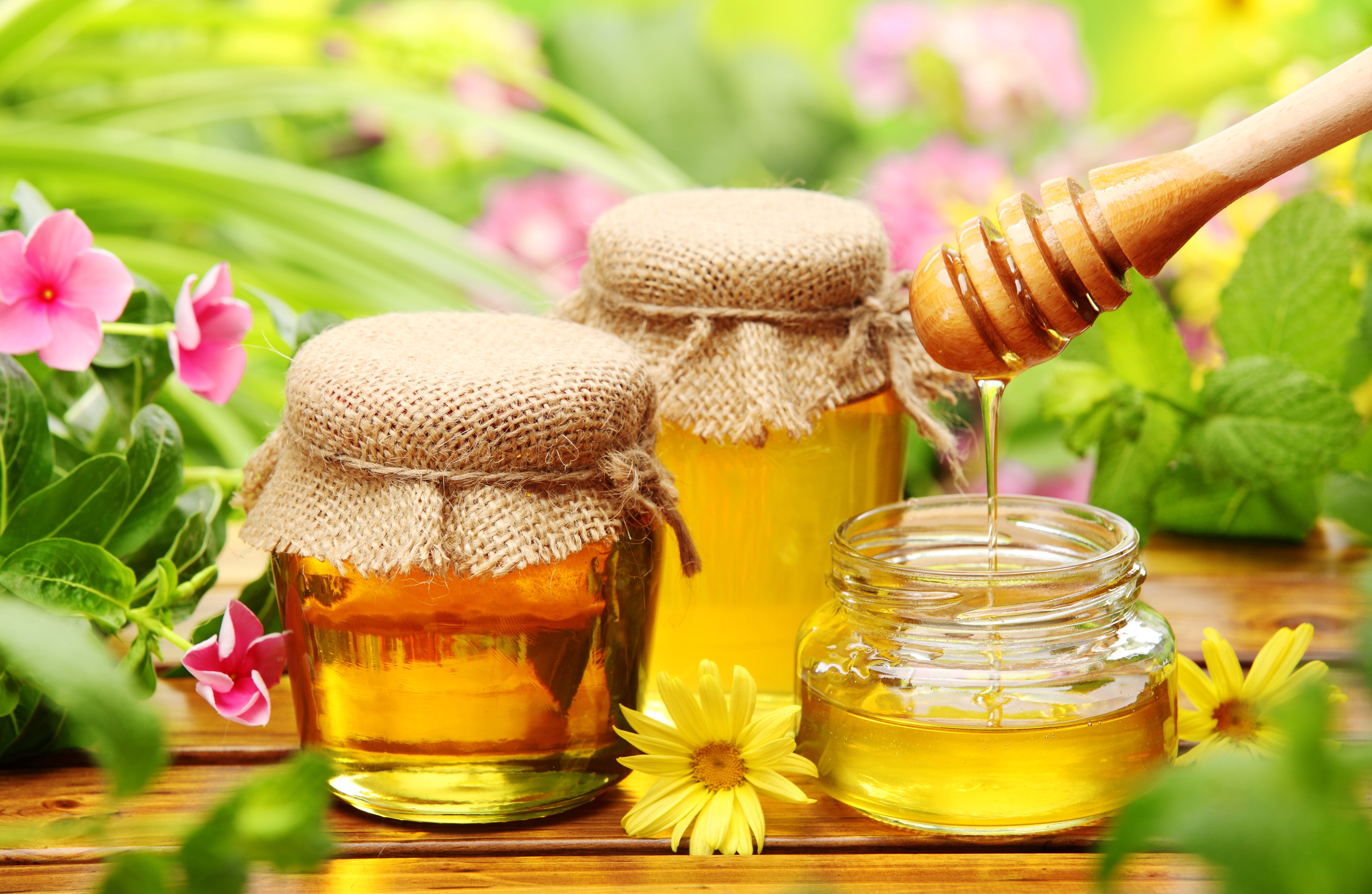 70+ Honey HD Wallpapers and Backgrounds - honey lemon soda where to watch