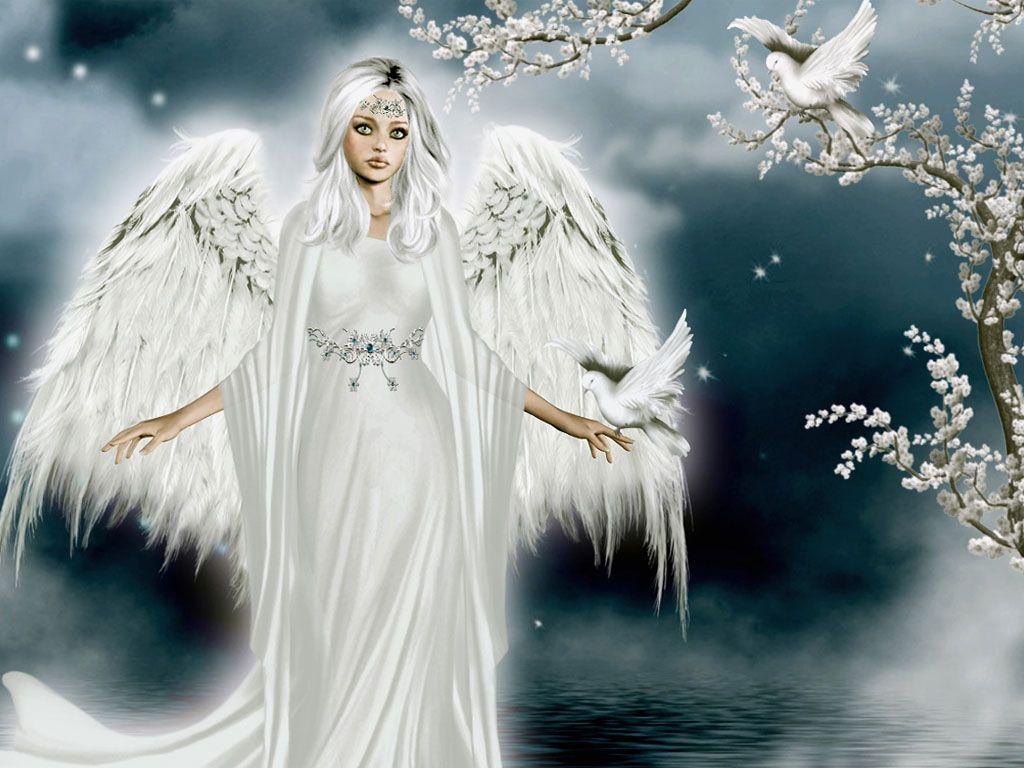 Angel Photos Download - 187 736 Angel Photos Free Royalty Free Stock - angel next door spoils me rotten