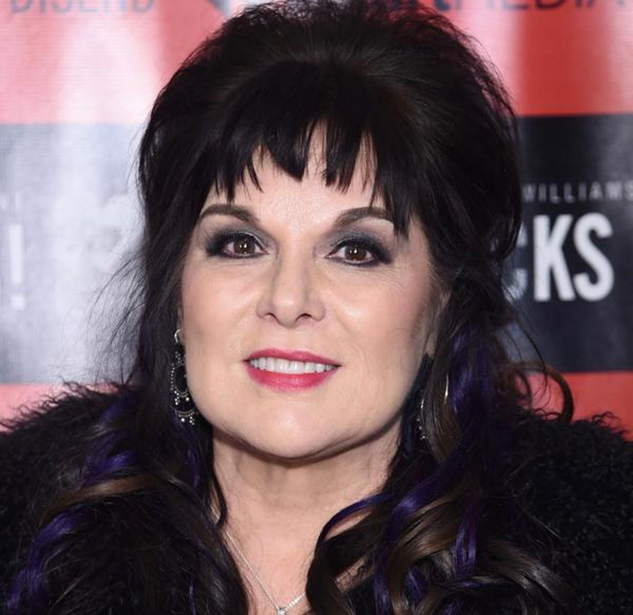 Ann Wilson Concert Review 2024 - Hynda Laverna - Ann Wilson’s Height: Heart’s Legendary Frontwoman