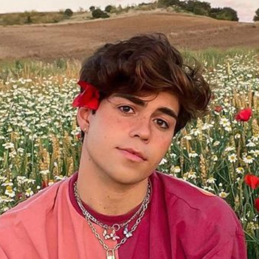 Benji Krol | TikTok Wiki | Fandom - Benji Krol’s Height: The TikTok Sensation’s Stats