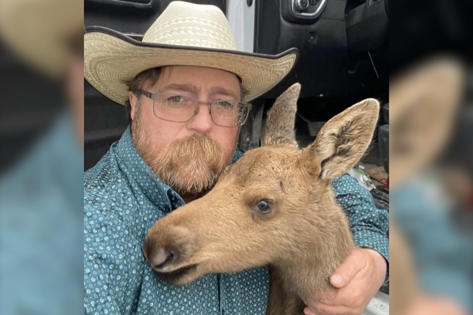 Canadian Man Fired for Rescuing Baby Moose From Awaiting, Hungry Bear - How Tall Is Haliburton? NBA Guard’s Real Stats Inside