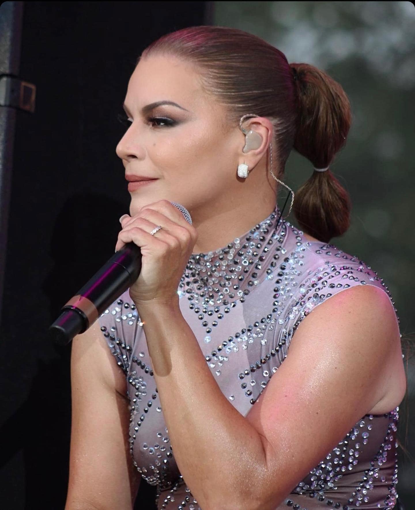 Classify some performers in a tribute to Celia Cruz - Olga Tañón’s Height: How Tall Is the Queen of Salsa?