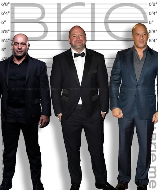 Dana White Height - Brie - Dana White Height – UFC Boss’s Real-Life Stats