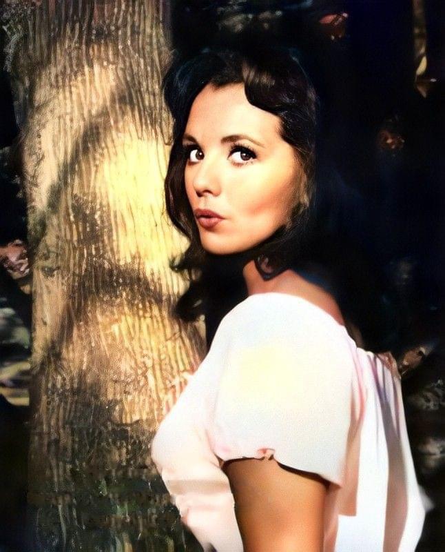 Dawn Wells NotableHistory @notablehistory - Dawn Wells’s Height: How Tall Was Gilligan’s Island Star?
