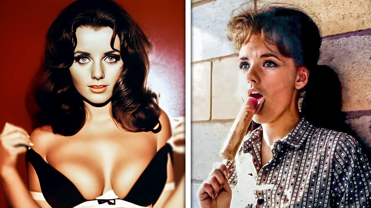 Dawn Wells's Rare Photos & Untold Life Story - YouTube - Dawn Wells’s Height: How Tall Was Gilligan’s Island Star?