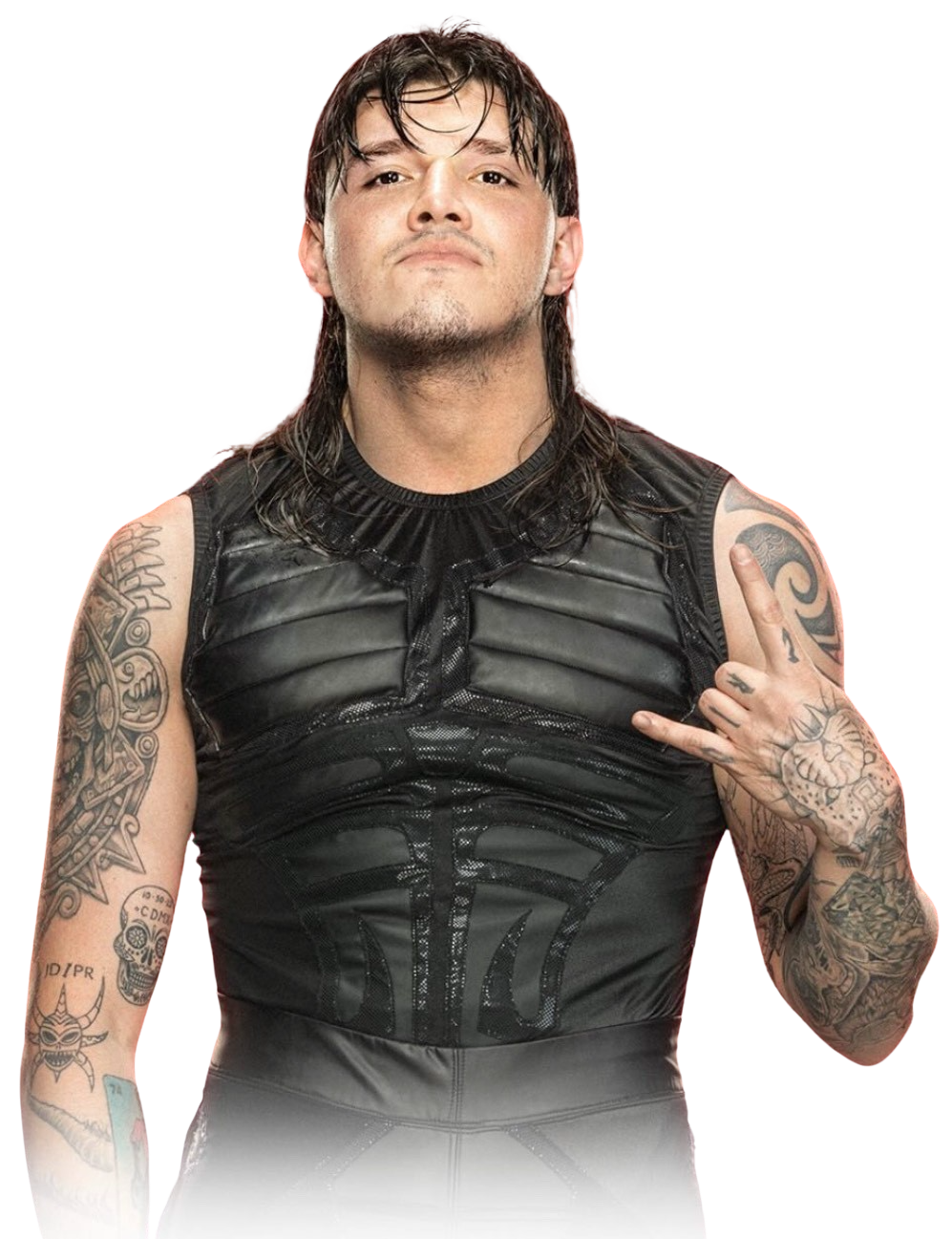 Dominik Mysterio RAW 2023 by WWEstarRENDER on DeviantArt - Dominik Mysterio Height – WWE Star’s In-Ring Size