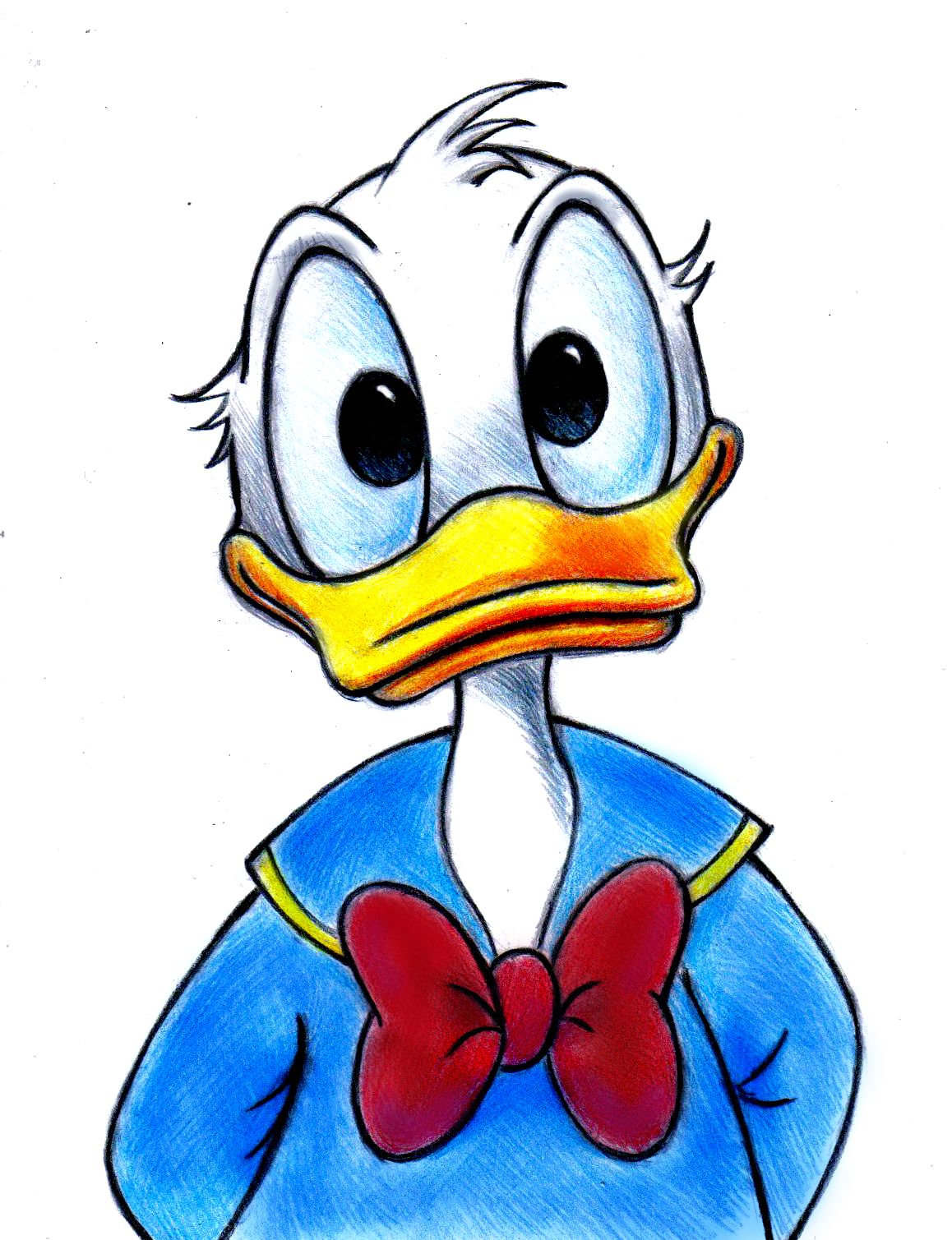 Donald Duck by zdrer456 on DeviantArt | Disney sketches, Donald duck - Donald Duck Height – Disney Icon’s Height, Officially