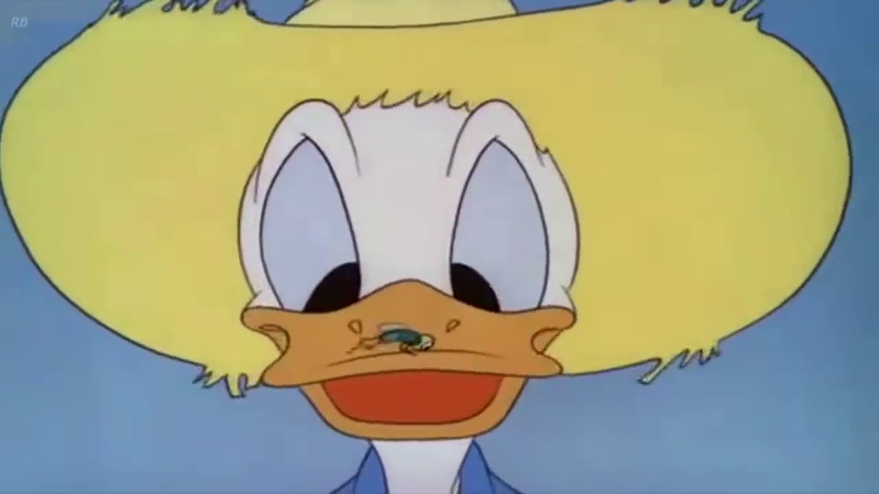 How Old Is Donald Duck? Disney Icon’s Official Birthday Explained