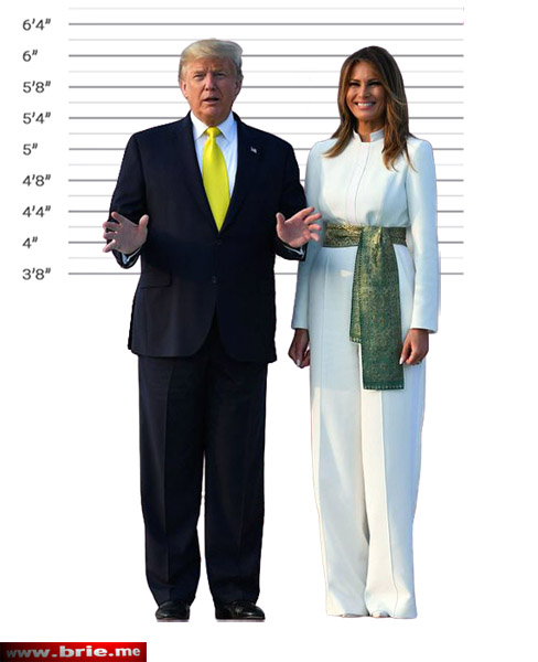 Donald Trump Height ~ How Tall is He Really? - Brie - How Tall Is Donald Trump? Real Stats on the Former President