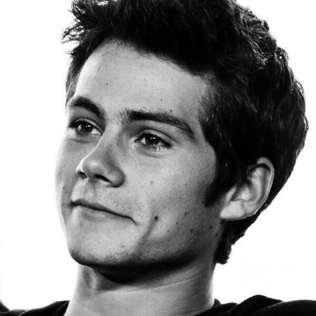 Dylan O'Brien - Biography, Height & Life Story | Super Stars Bio - Dylan Efron’s Height: Zac Efron’s Lesser-Known Brother