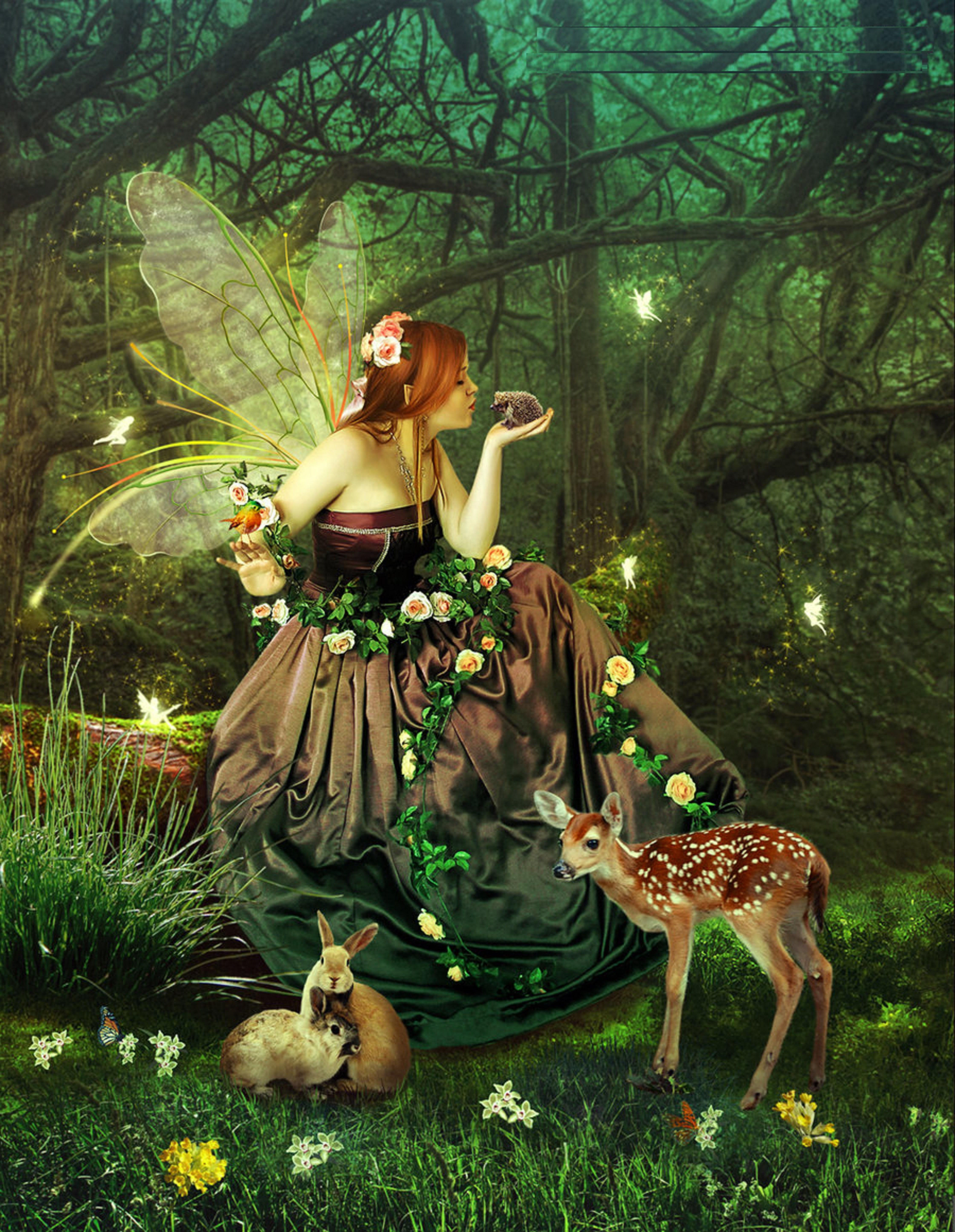 Fairies Of The Forest - Fairies Fan Art (41326969) - Fanpop - fairy tail television show season 9
