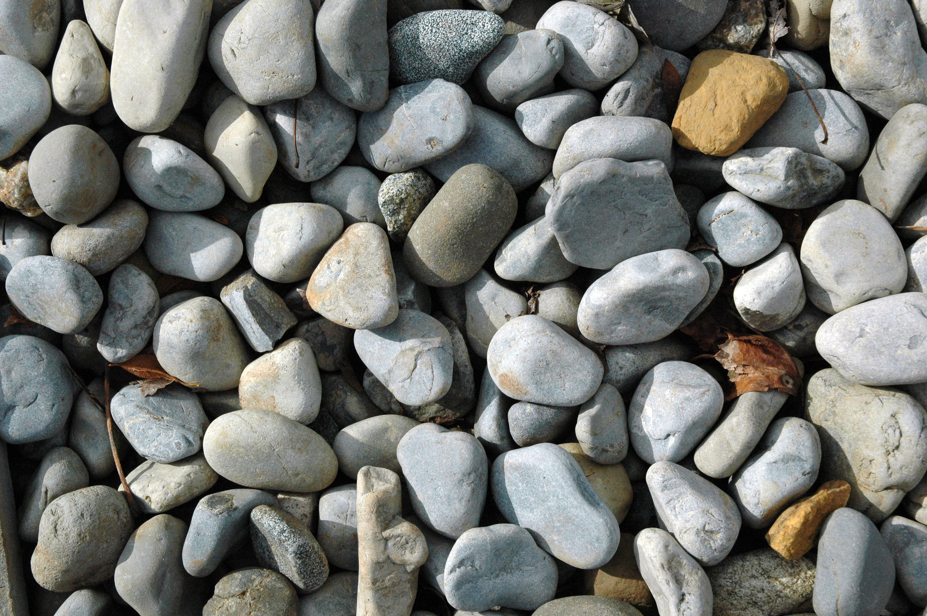 FREE 27+ Hard Rock Stone Texture Designs in PSD | Vector EPS - stone ocean how they talk under water