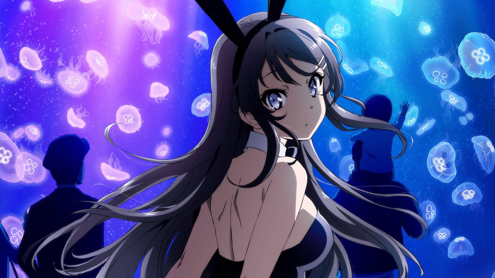 🔥 Free Download Rascal Does Not Dream Of Bunny Girl Senpai Hd Wallpaper - rascal does not dream of bunny senpai