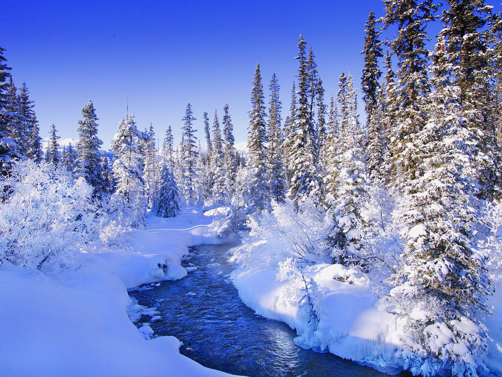 Free Snow Backgrounds - WallpaperSafari - snow white with the red hair zen