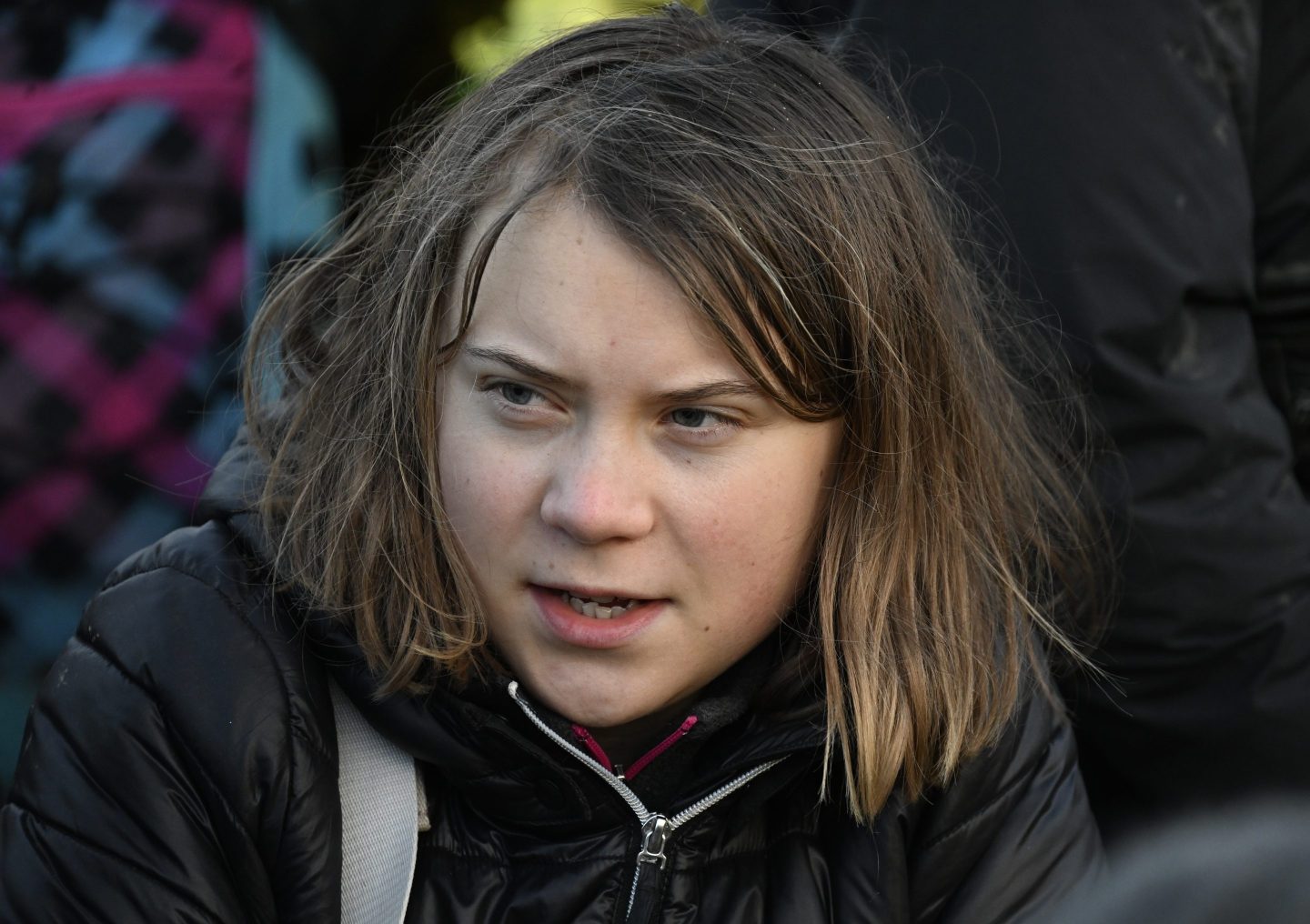 Gen Zer Greta Thunberg's 'Climate Book' rips capitalism | Fortune - Greta Thunberg Height – Climate Activist’s Physical Stats