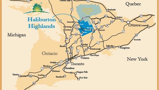 How Old Is Haliburton? Age of the Rising NBA Star