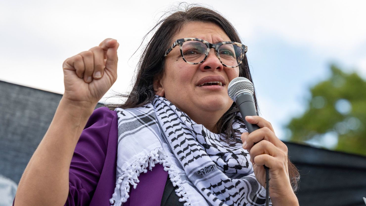 Rashida Tlaib Measurements: Confidence in Congress & Public Style