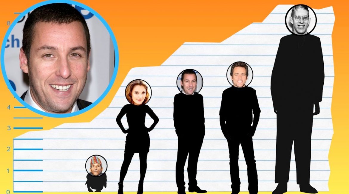 How Tall Is Adam Sandler - Hedge the book - How Tall Is Adam Sandler? Comedy Icon’s Height in Real Life