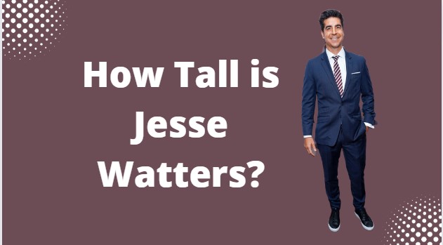 How tall is Jesse Watters? Height Details + Recent Controversies - How Tall Is Jesse Watters? Fox News Star’s Height Uncovered