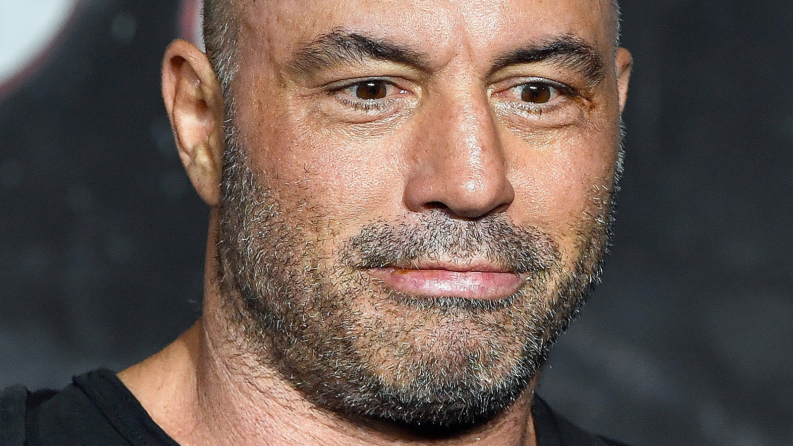 Joe Rogan Height – Podcast King’s Real Height Revealed