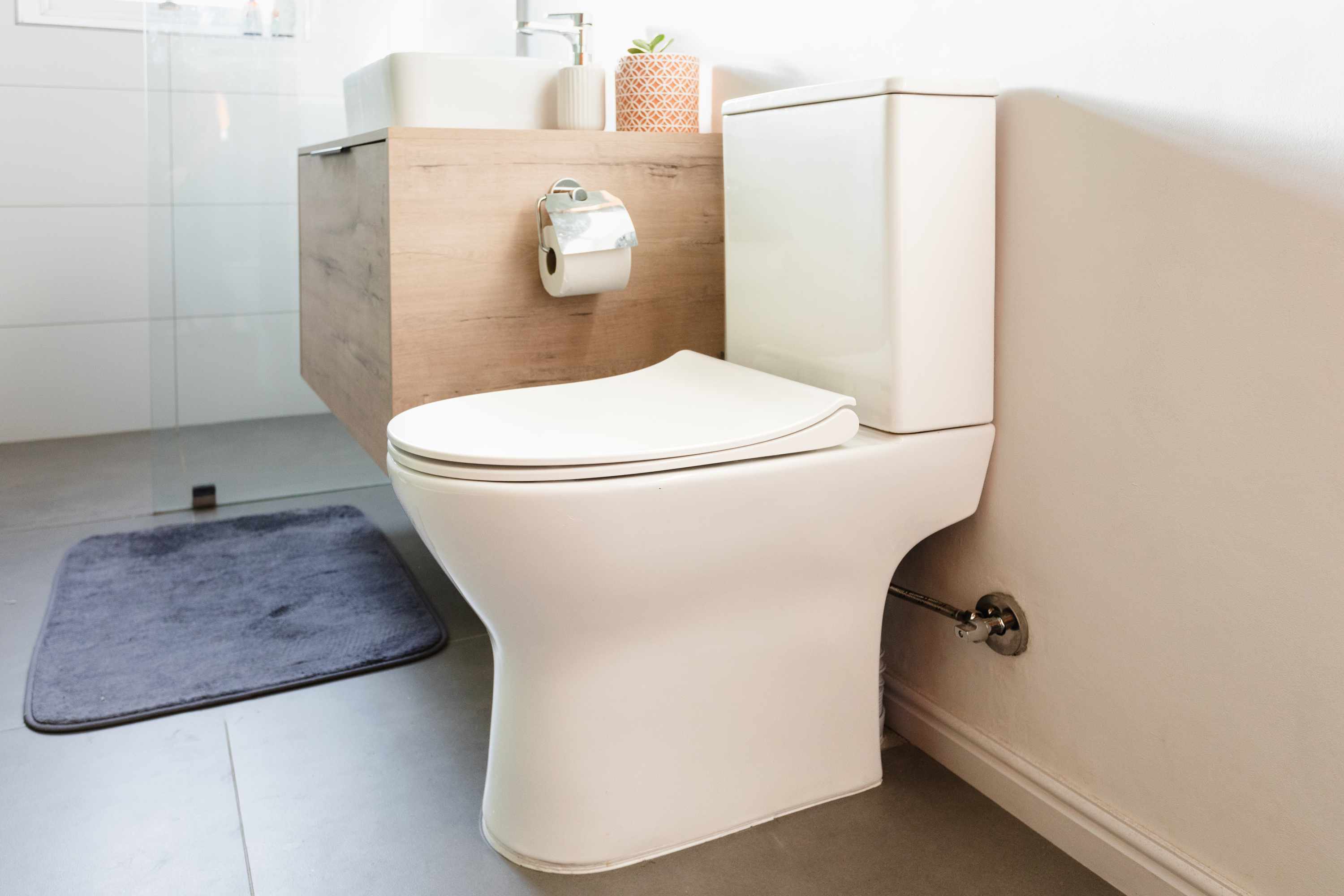 How to Buy a New Toilet for Your Home - toilet bound hanako kun manga summary