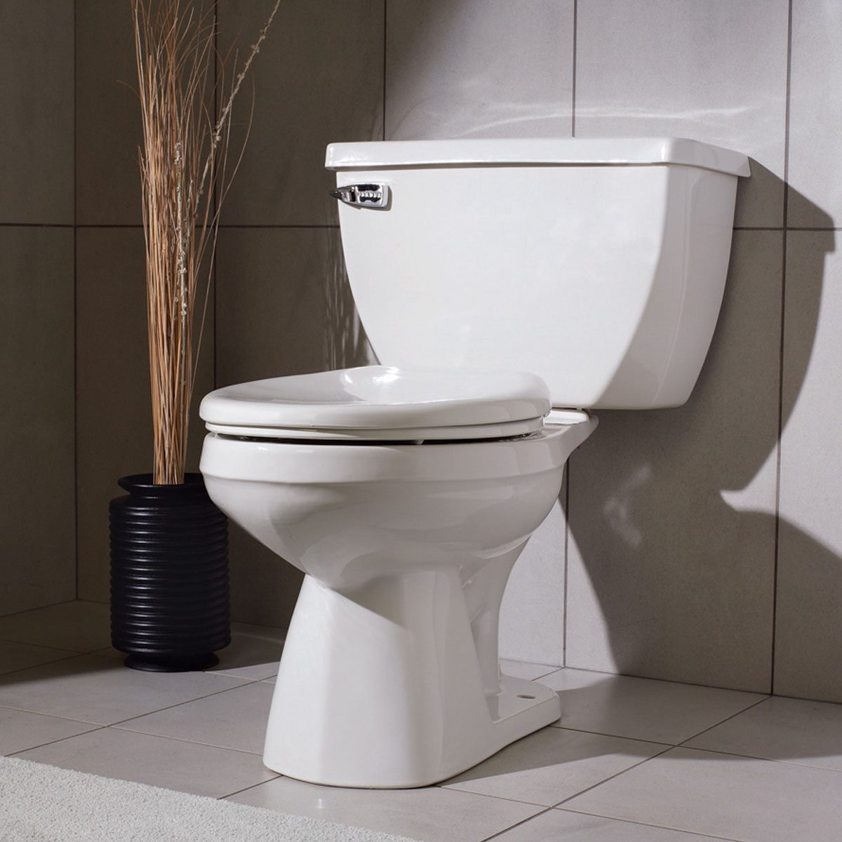 How to Buy the Best Toilet for Your Home | Family Handyman - toilet bound hanako kun manga summary