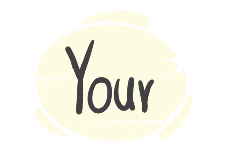 How to Use "Your" in the English Grammar | LanGeek - your lie in april television show