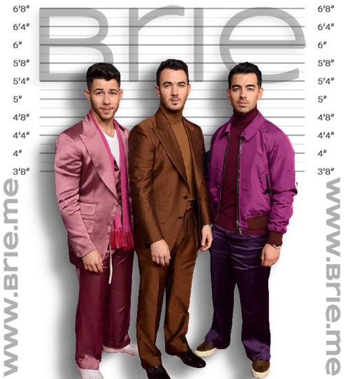 Joe Jonas Height - Brie - Kevin Jonas’s Height: Jonas Brothers’ Oldest Brother