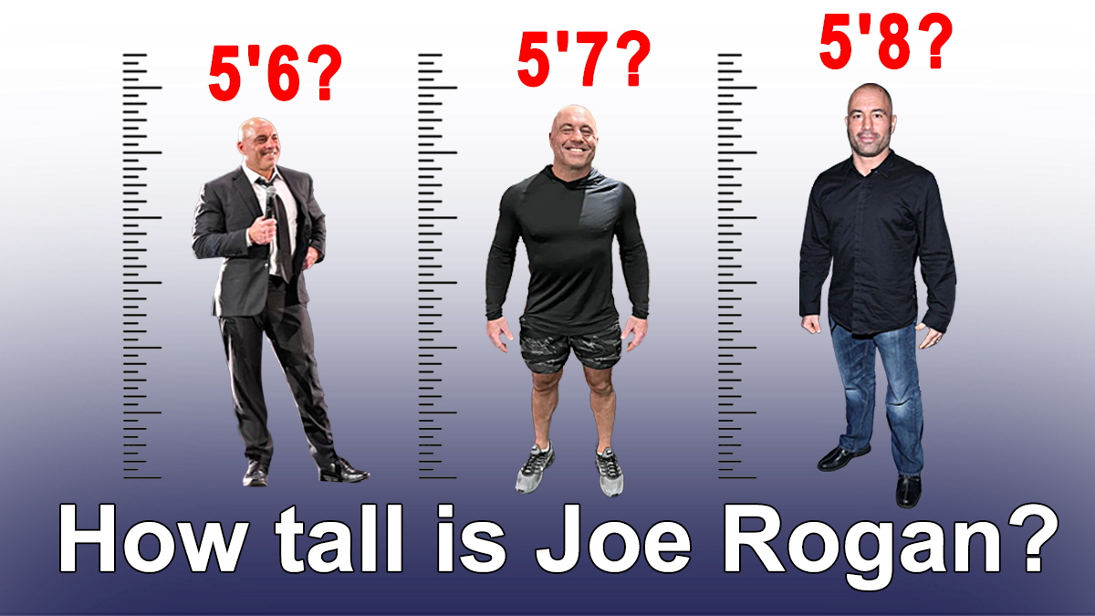 Joe Rogan Height (Proof with Visual Comparison) | Heartafact - Joe Rogan Height – How Tall Is the Podcast King and UFC Host?