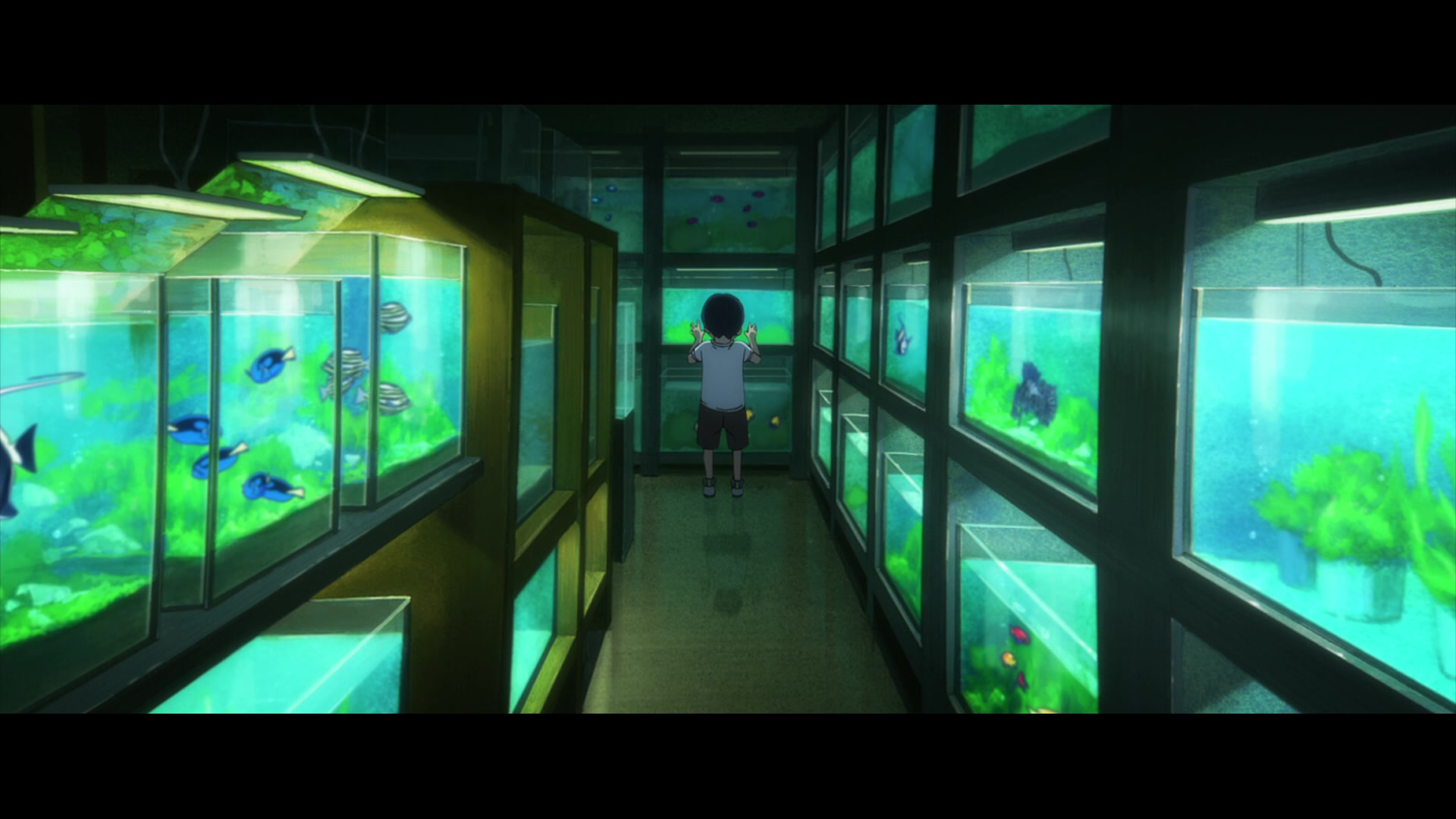 Josee, the Tiger and the Fish (2020) - josee the tiger and the fish characters