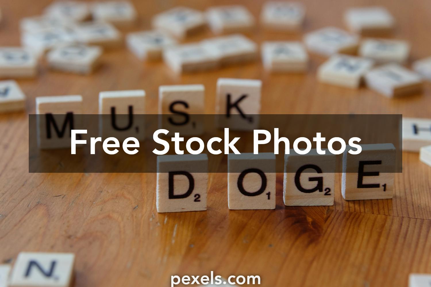 Justine Musk Photos, Download The BEST Free Justine Musk Stock Photos - Justine Musk Measurements: Author, Entrepreneur & Elegant Presence