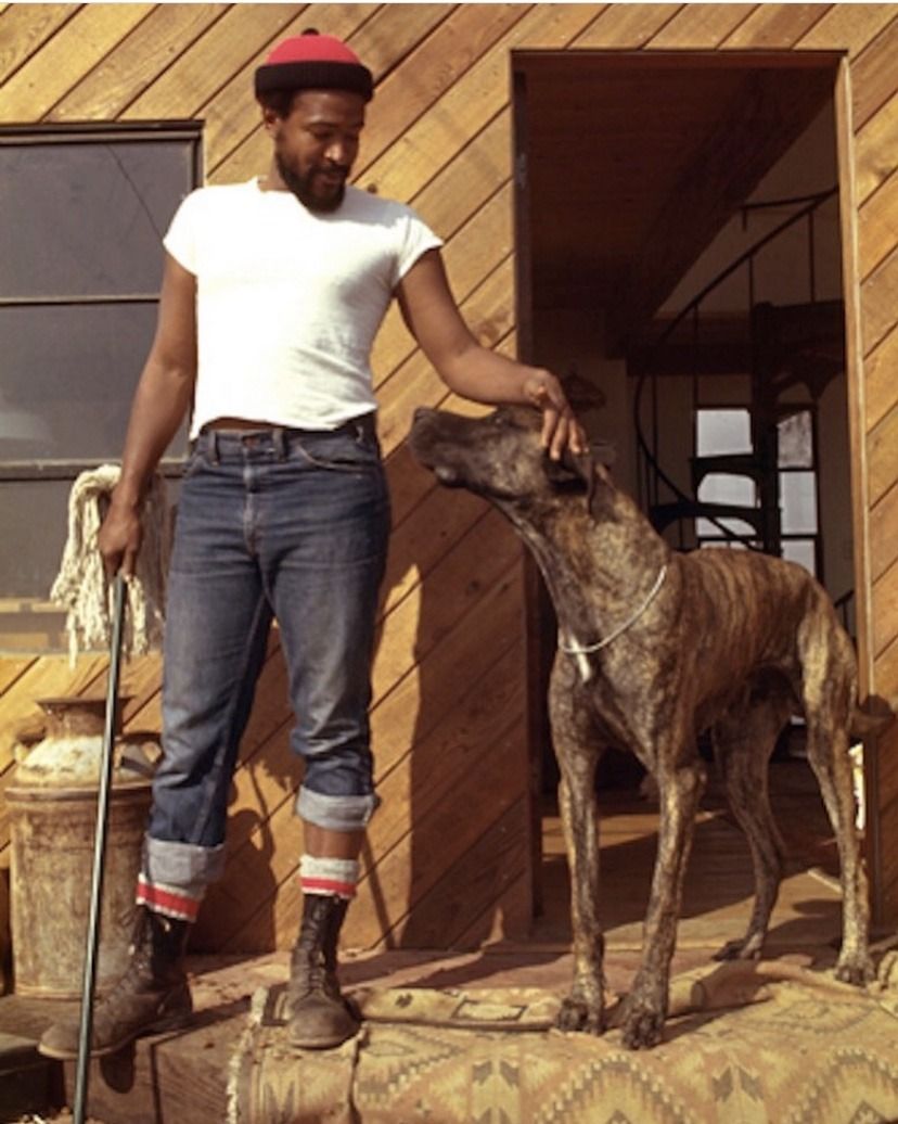 福裕 | Marvin gaye, Marvin, Soul music - How Tall Was Marvin Gaye: Soul Legend’s Build