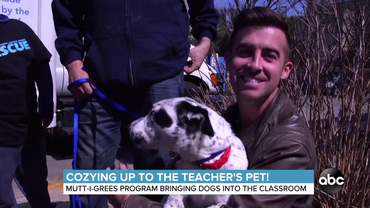 MCAR on ABC World News Now Mutt-i-grees with Will Ganss - YouTube - Will Ganss’ Height: The Podcast Host’s Build