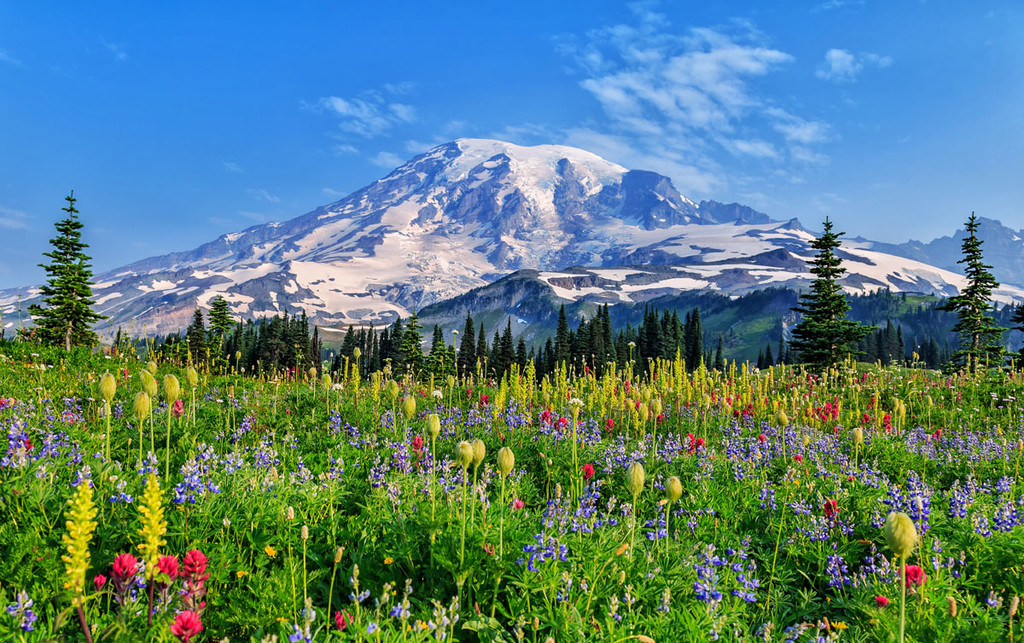 Mount Rainier - Mount Rainier Height – How Tall Is Washington’s Towering Peak?