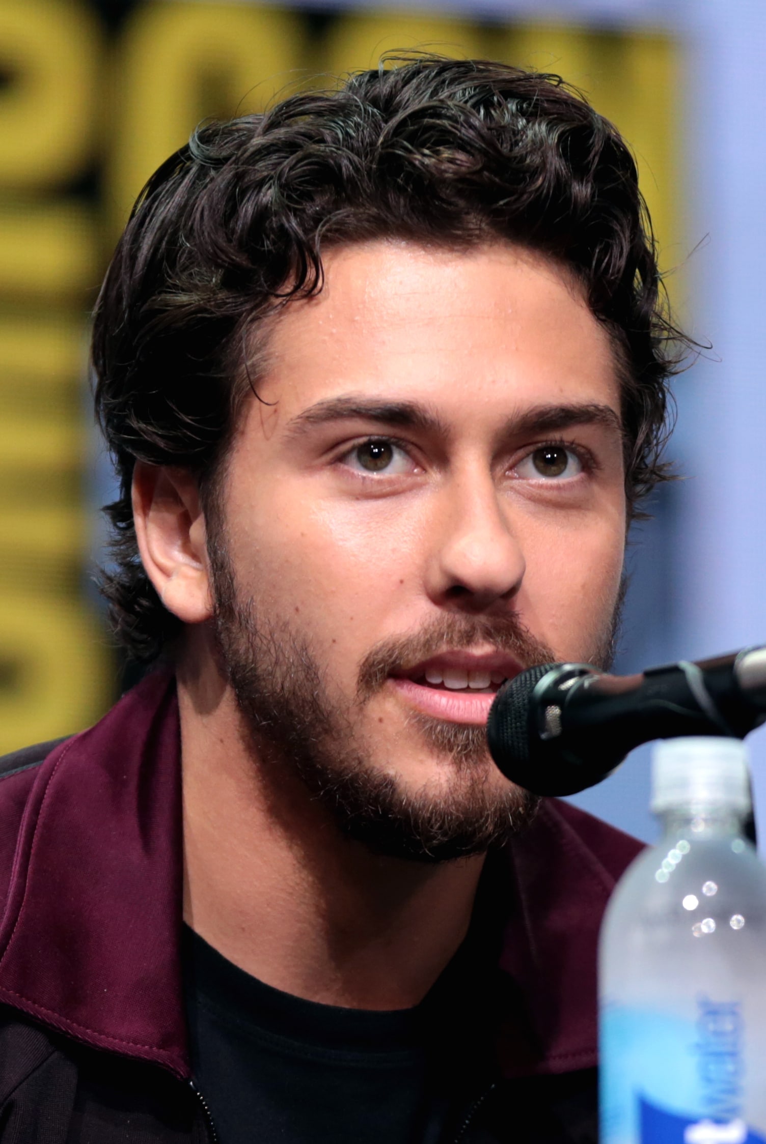 Nat Wolff - Biography, Height & Life Story | Super Stars Bio - How Old Is Nat Wolff? Actor-Musician’s Current Age and Career