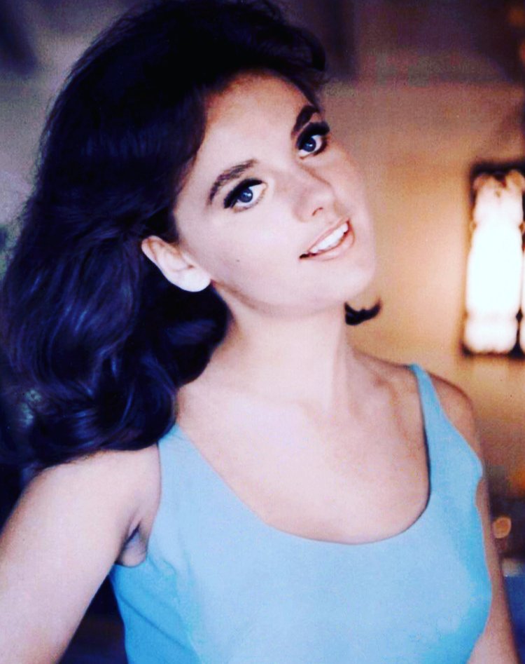 NotablePhotos on Twitter: "Dawn Wells" - Dawn Wells’s Height: How Tall Was Gilligan’s Island Star?
