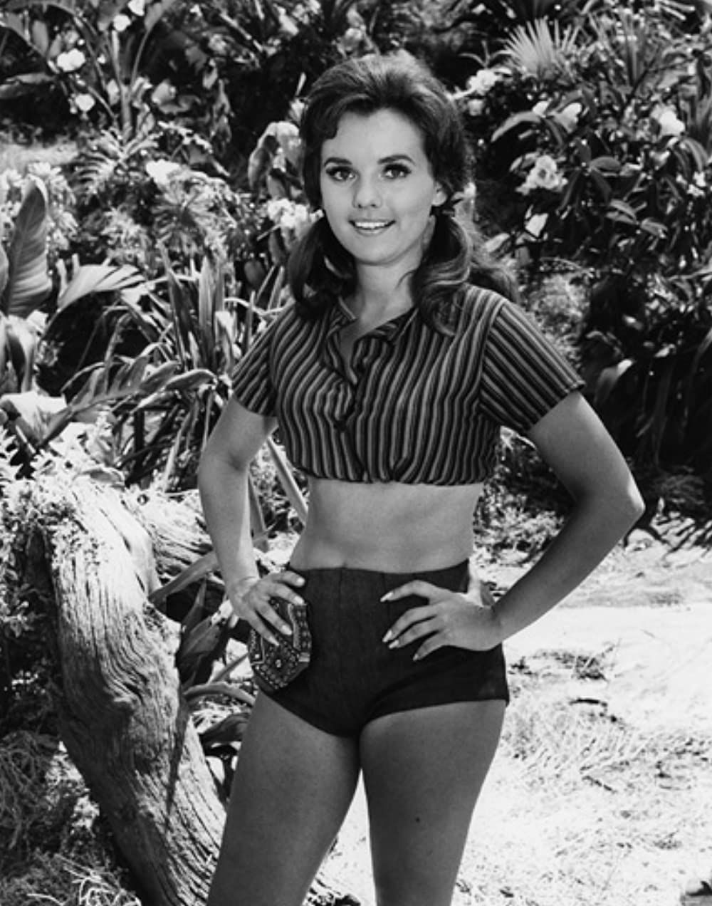 Pin on Classic T.V. Beauties - Dawn Wells’s Height: How Tall Was Gilligan’s Island Star?