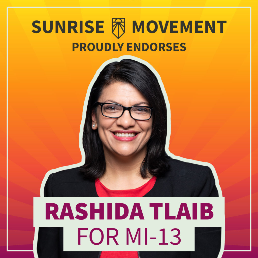 Rashida Tlaib for MI-13 - Sunrise Movement - Rashida Tlaib Measurements: Confidence in Congress & Public Style