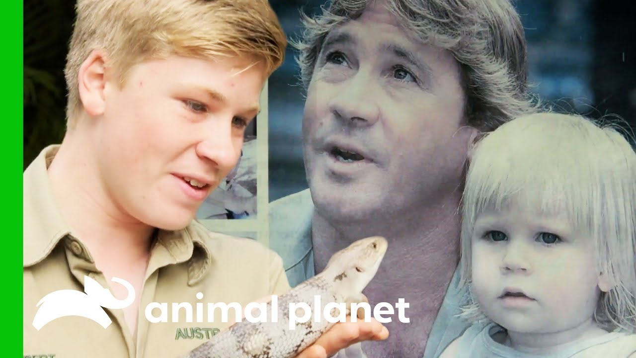 Robert Irwin is Following in Steve Irwin's Footsteps - YouTube - How Tall Is Robert Irwin: Wildlife Warrior’s Charisma