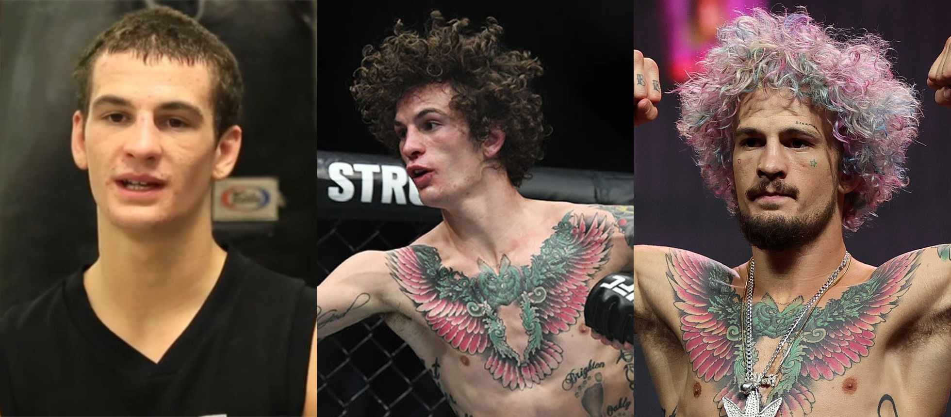 Sean O'Malley Through the Years - Sean O'Malley Age – The Sugar Show’s Age and Career Highlights