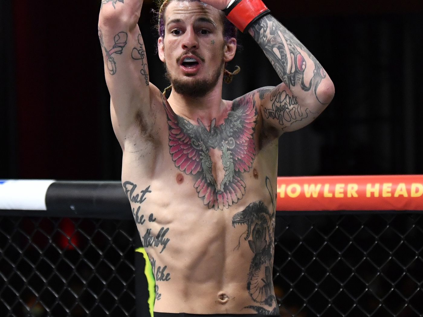 Sean O'malley Age – The Sugar Show’s Age And Career Highlights