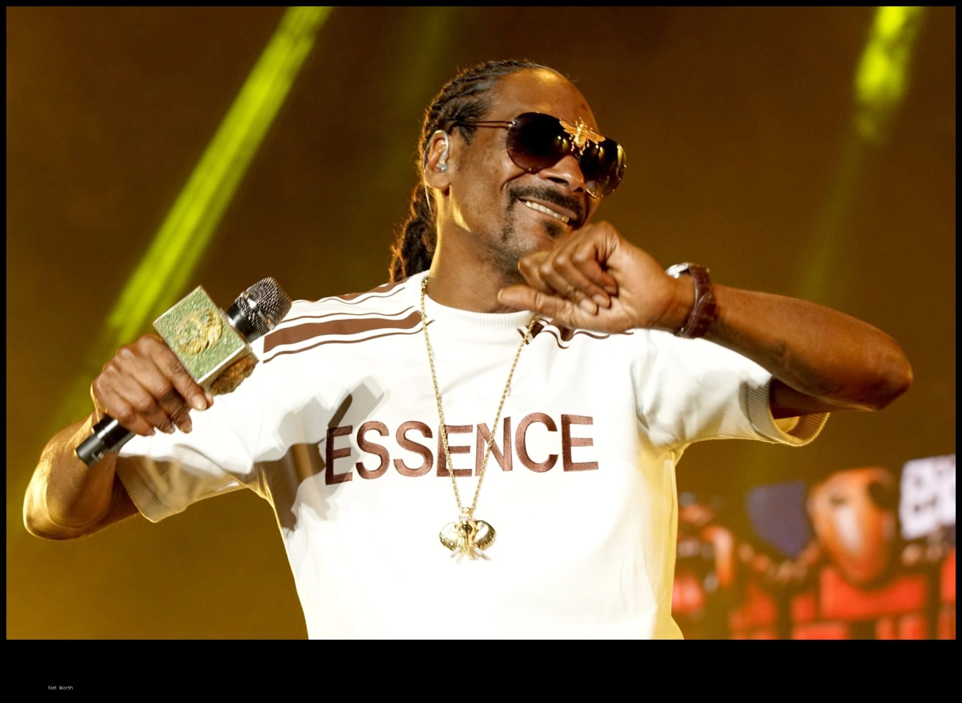 Snoop Dogg Net Worth 2024 Breakdowns - Dita Myrtle - Snoop Dogg Net Worth – Rap Icon’s Business & Music Empire
