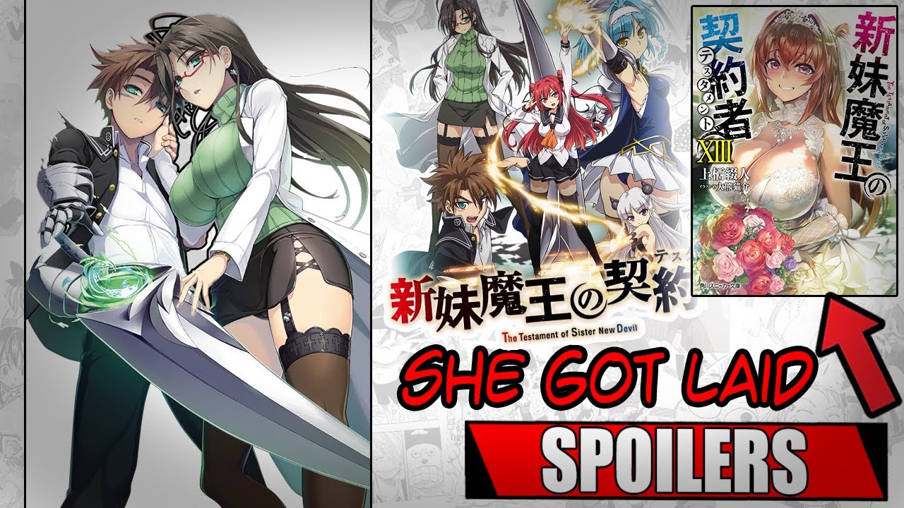 testament of new sister devil light novel