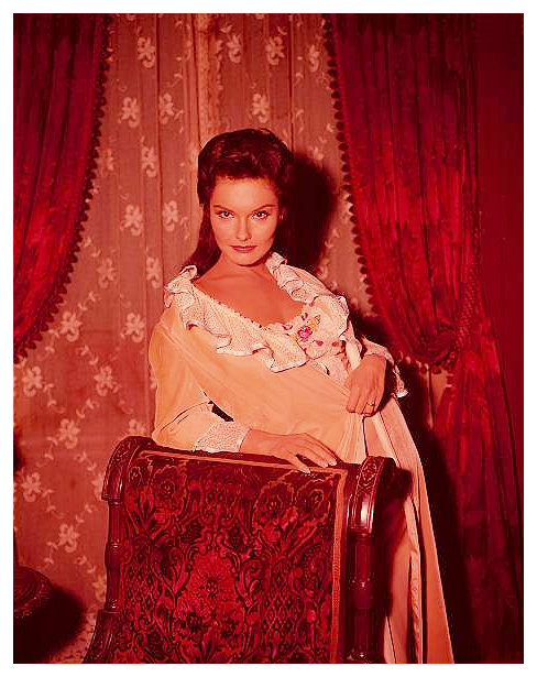 Suzanne Lloyd - Suzanne Lloyd Measurements – Classic Elegance in Numbers