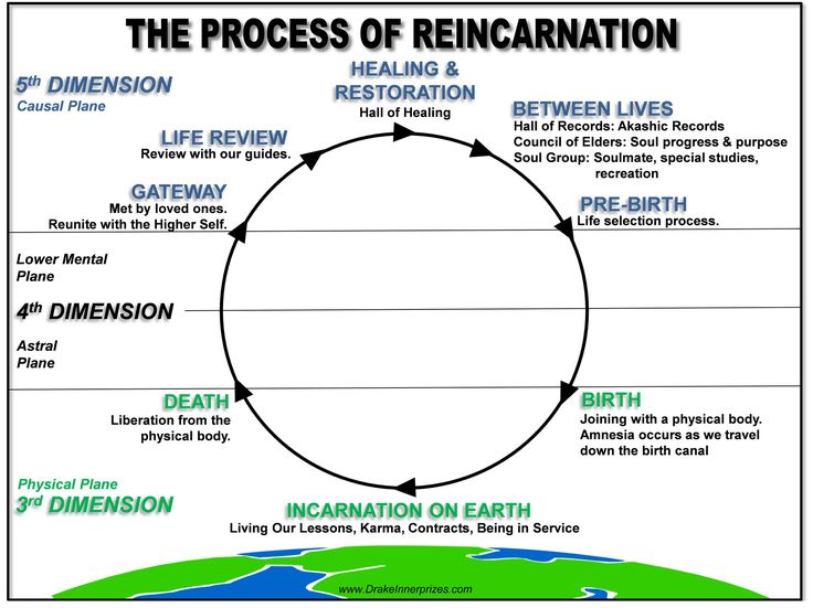 The Reincarnation Process | Reincarnation, Life review, Spirituality - reincarnated into a world of man boobs manga