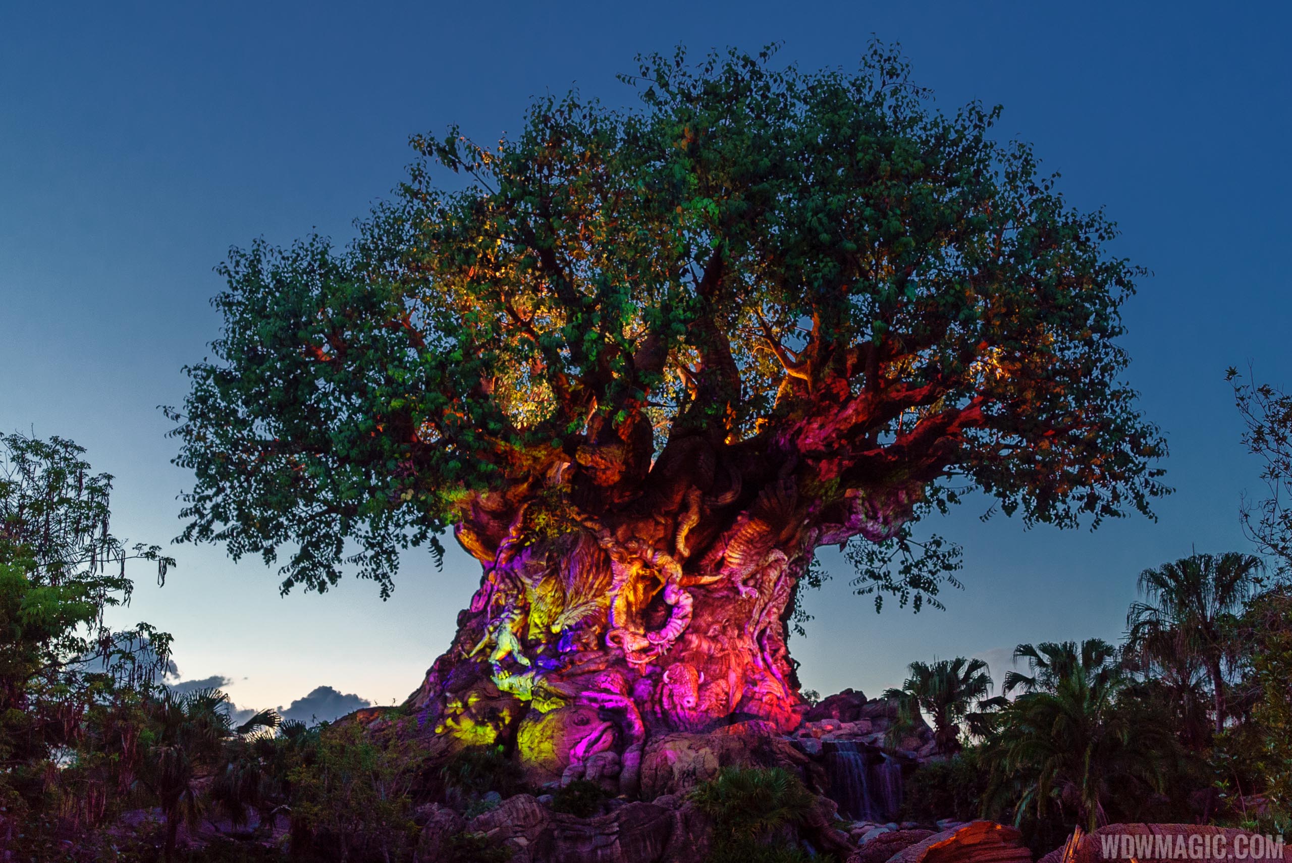 The Tree of Life - life lessons with uramichi oniisan tv show