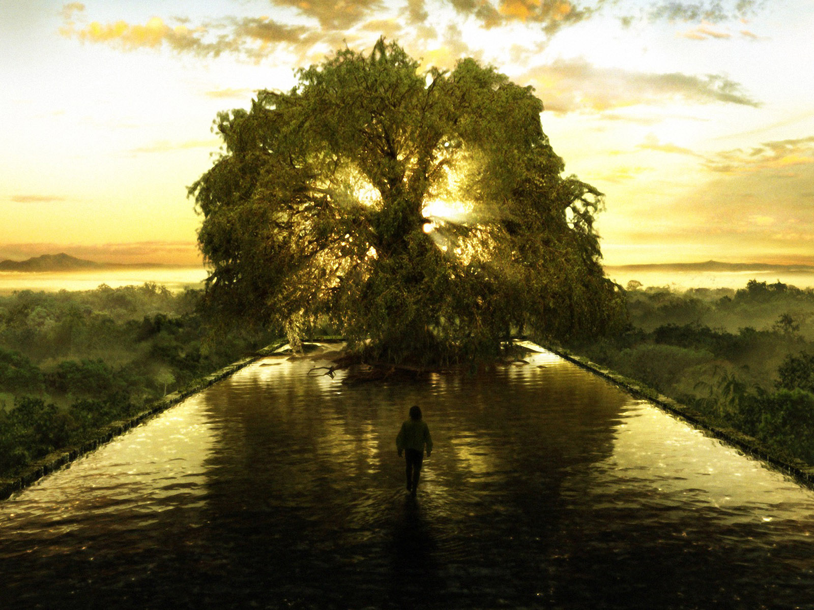 The Tree of Life represents the spiritual point of balance – the secret - life lessons with uramichi oniisan tv show
