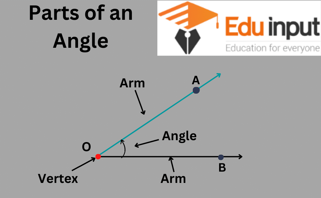 What is Angle?–Definition-Types of Angle - angle next door spoils me rotten