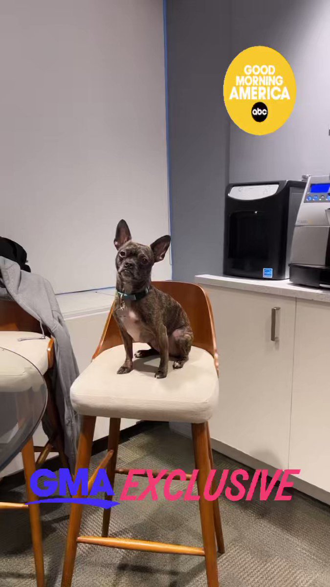 Will Ganss on Twitter: "watch @GMA this morning" - Will Ganss’ Height: The Podcast Host’s Build