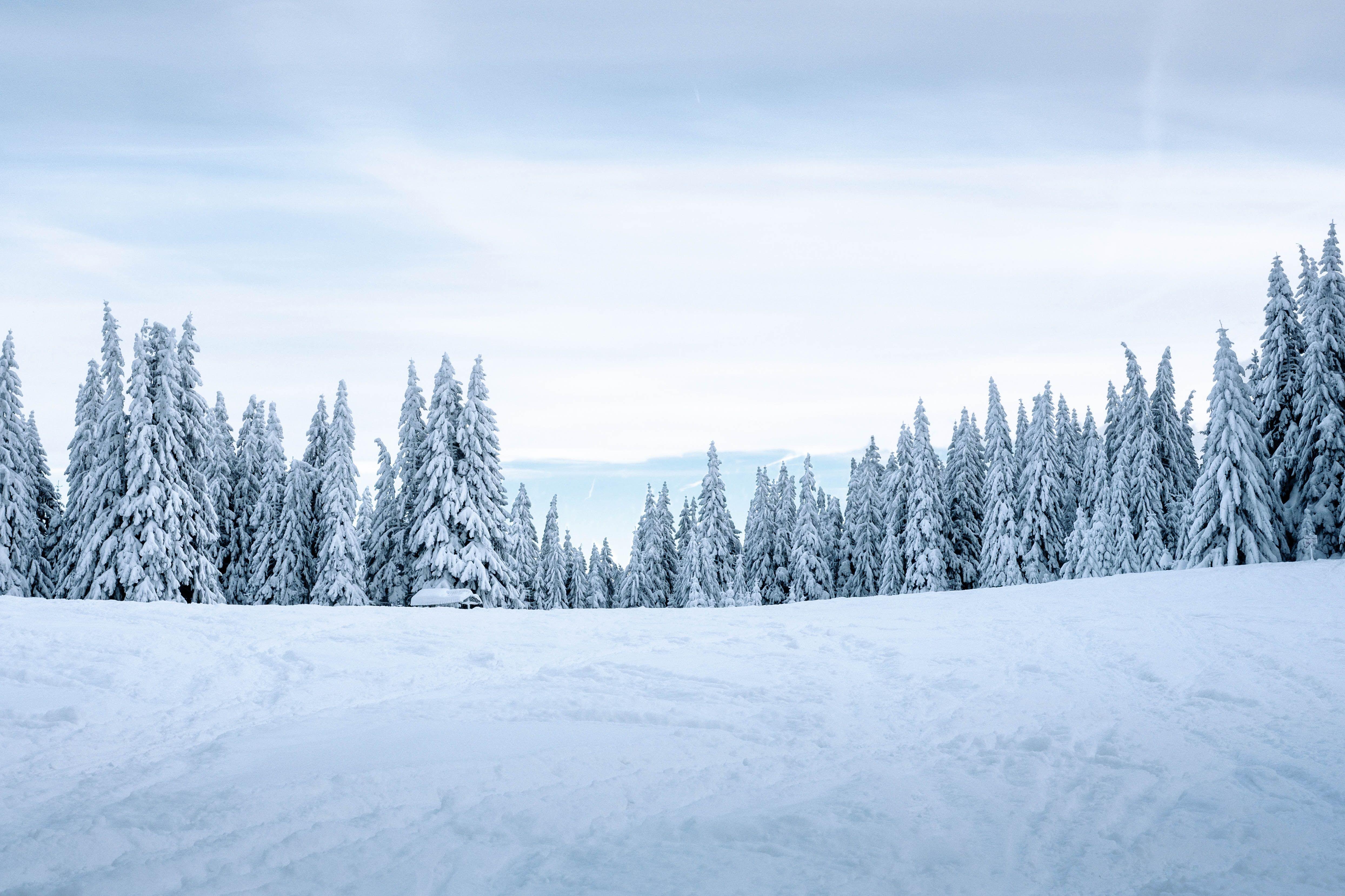 Winter Snow Landscape Wallpapers - Top Free Winter Snow Landscape - snow white with the red hair season 3